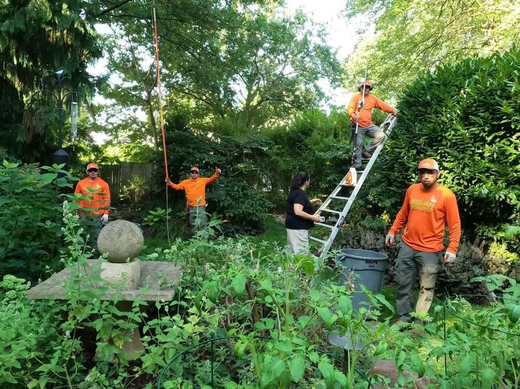 Deehan Landscaping-Pruning Service- Fairfax-Home