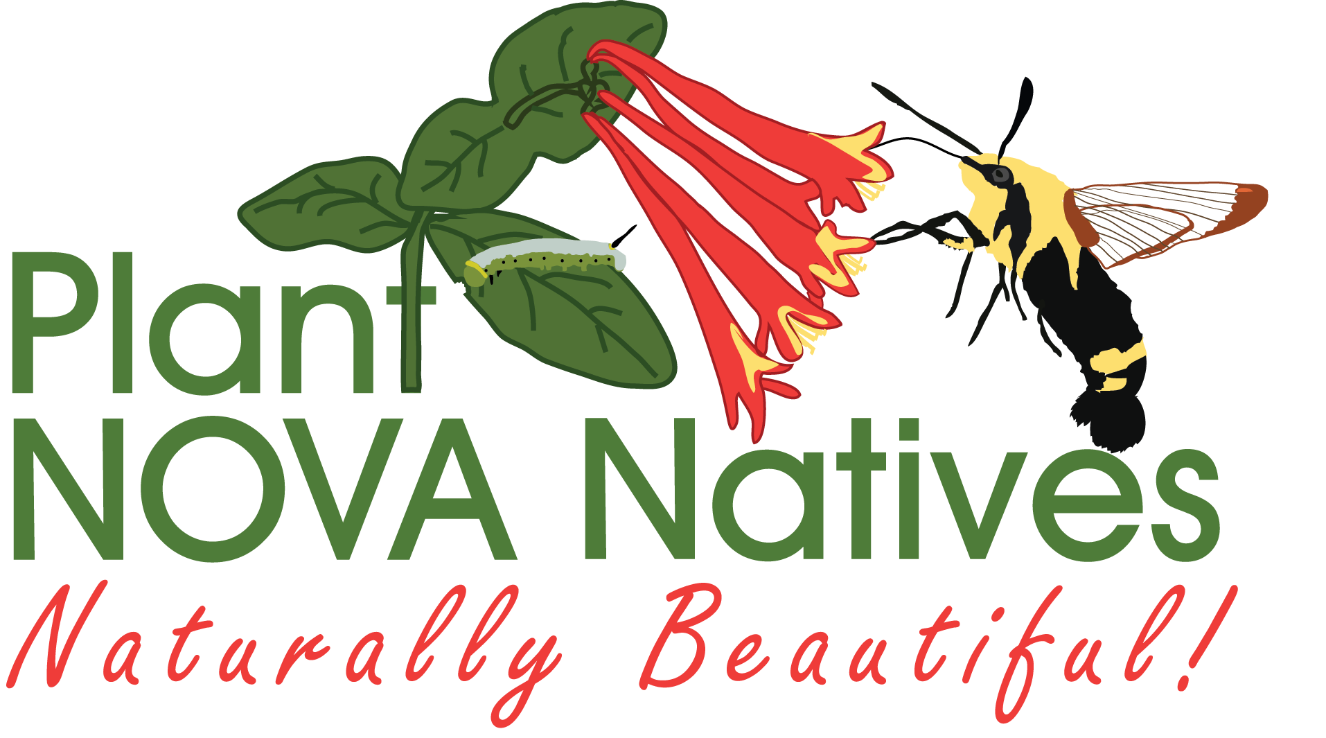NOVA Plant Natives