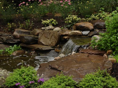 ponds-and-streams-design